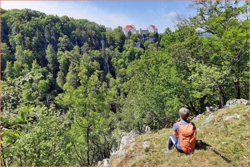 Auf dem Bandfelsen im Donautal