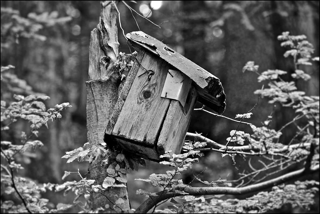 Das Vogelhaus schlechthin.